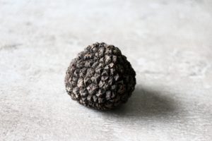 What is a Truffle?