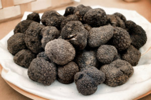 Croatian Black Truffles