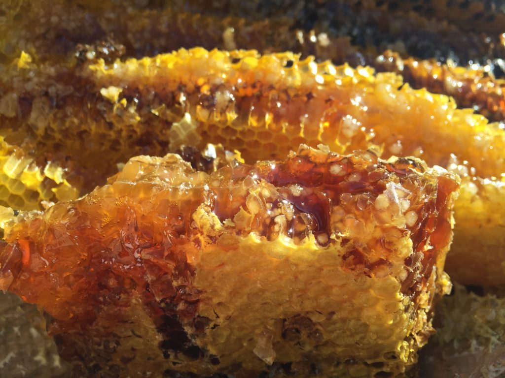 Honey bees ISTRA Truffle