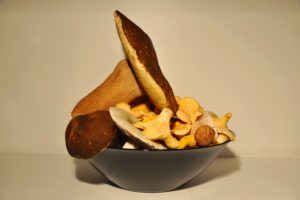 Nutrition benefits of Boletus Mushroom
